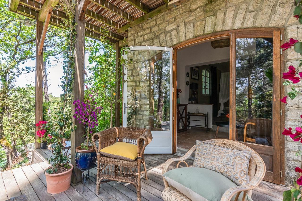 Lou Paradou Lodge Grillon Extérieur photo